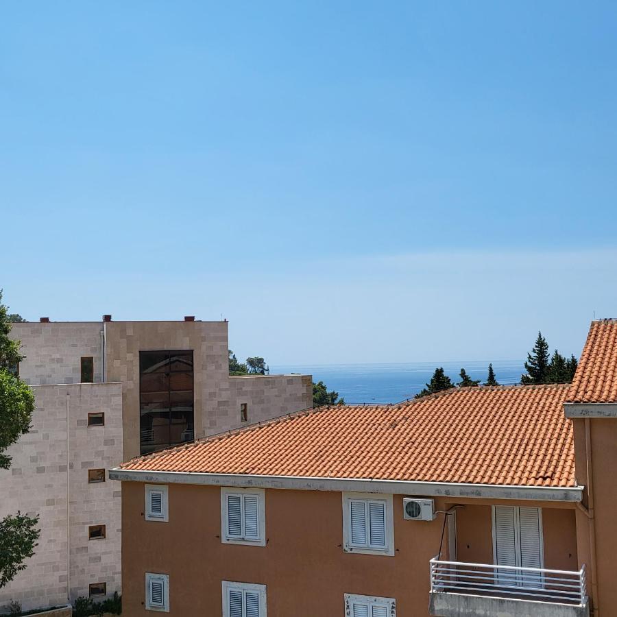 Apartmani Mia Sorajic Petrovac エクステリア 写真